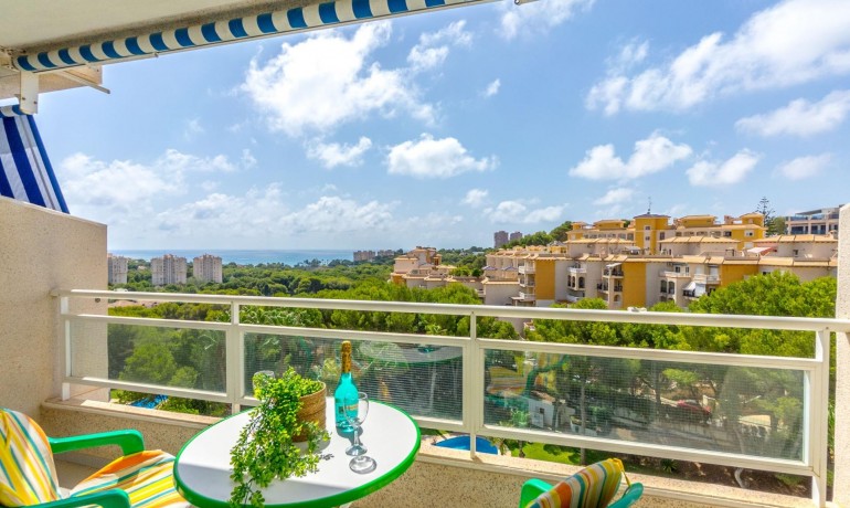 Sale - Apartment / Flat -
Orihuela - Zona Centro