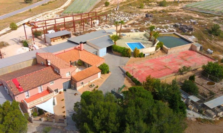 Sale - Finca / Country Property -
Alicante* - Monovar*