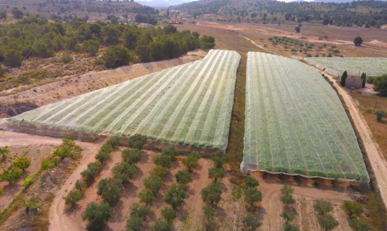 Revente - Finca / Propriété de campagne -
Alicante* - Monovar*