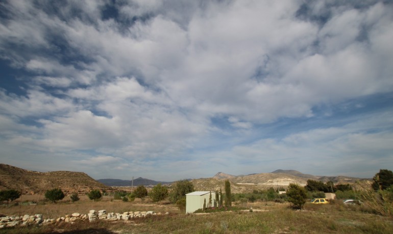 Revente - Finca / Propriété de campagne -
Alicante* - Monovar*