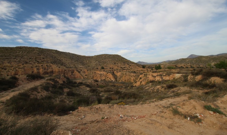 Revente - Finca / Propriété de campagne -
Alicante* - Monovar*