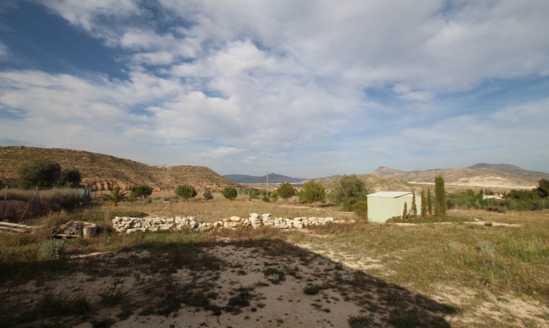 Revente - Finca / Propriété de campagne -
Alicante* - Monovar*