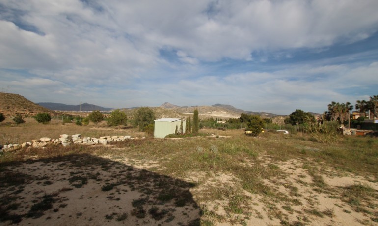 Revente - Finca / Propriété de campagne -
Alicante* - Monovar*