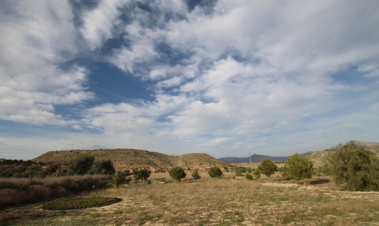 Revente - Finca / Propriété de campagne -
Alicante* - Monovar*