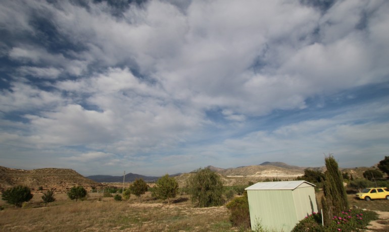 Revente - Finca / Propriété de campagne -
Alicante* - Monovar*