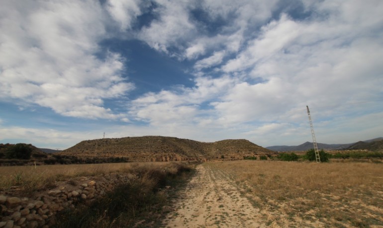 Revente - Finca / Propriété de campagne -
Alicante* - Monovar*