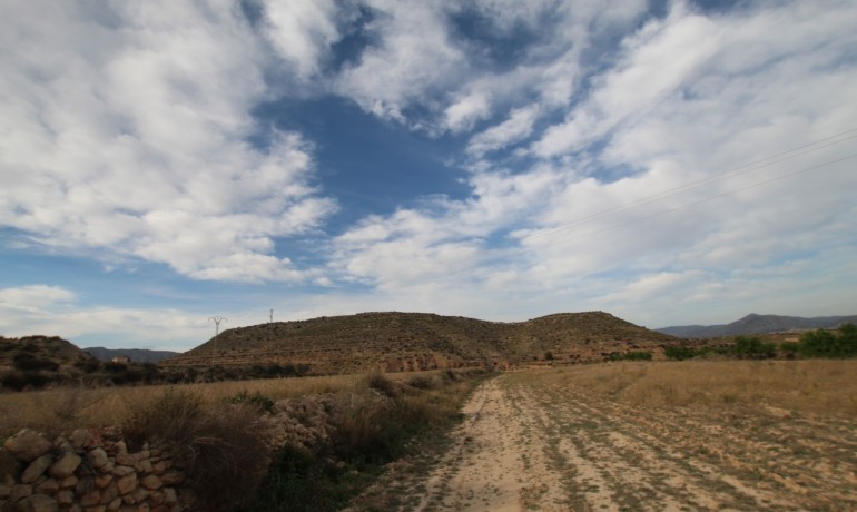 Herverkoop - Finca / Landgoed -
Alicante* - Monovar*