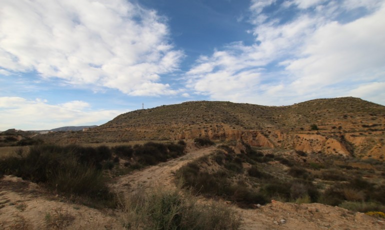 Revente - Finca / Propriété de campagne -
Alicante* - Monovar*