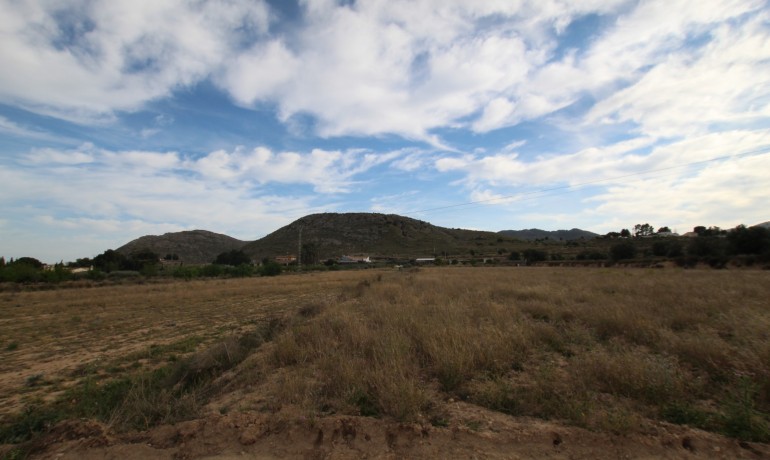 Revente - Finca / Propriété de campagne -
Alicante* - Monovar*