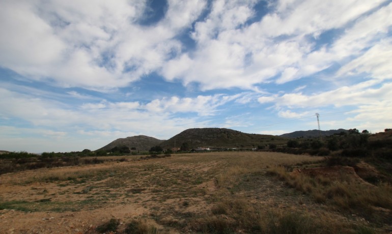 Revente - Finca / Propriété de campagne -
Alicante* - Monovar*