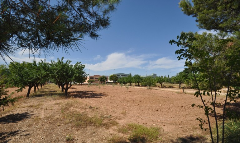 Revente - Finca / Propriété de campagne -
Pinoso*