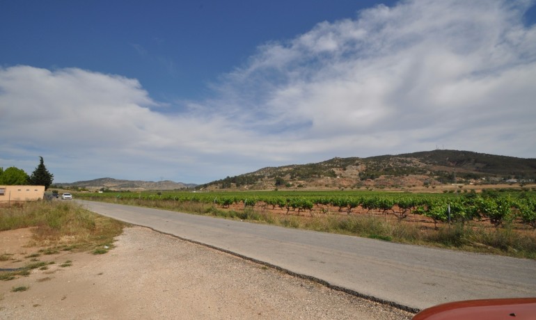 Revente - Finca / Propriété de campagne -
Pinoso*