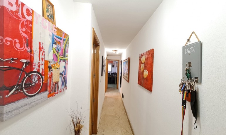 Sale - Apartment / Flat -
Pinoso