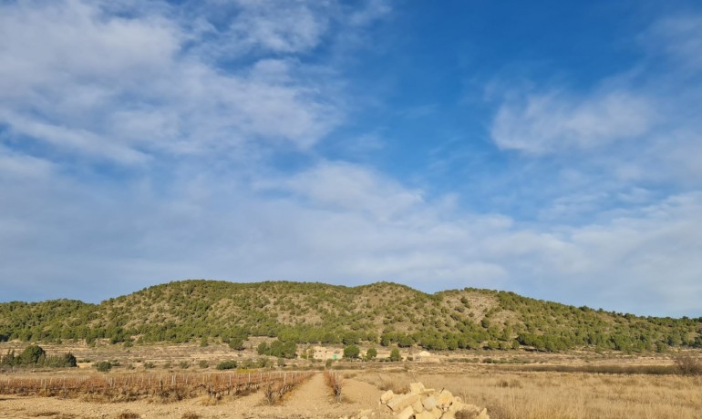 Herverkoop - Plot -
Alicante* - Monovar*