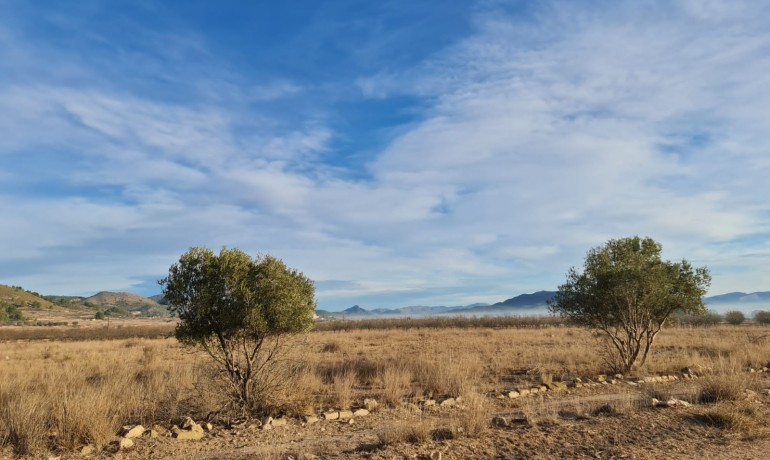 Herverkoop - Plot -
Alicante* - Monovar*