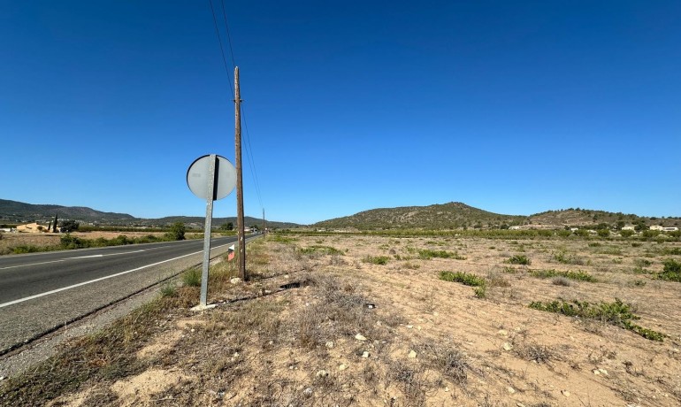 Herverkoop - Plot -
Alicante* - Monovar*