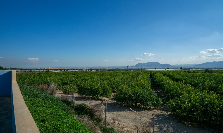 Revente - Finca / Propriété de campagne -
Orihuela* - La Murada*