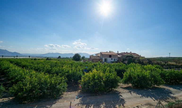 Revente - Finca / Propriété de campagne -
Orihuela* - La Murada*