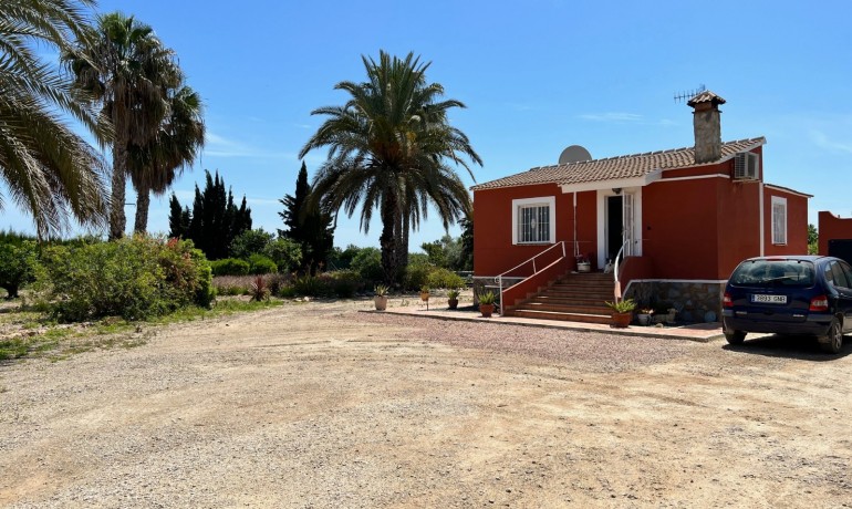 Revente - Finca / Propriété de campagne -
San Miguel de Salinas* - San Miguel De Salinas