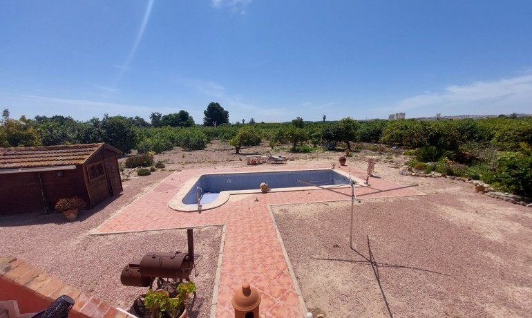 Revente - Finca / Propriété de campagne -
San Miguel de Salinas* - San Miguel De Salinas