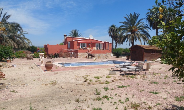 Revente - Finca / Propriété de campagne -
San Miguel de Salinas* - San Miguel De Salinas