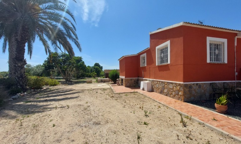 Revente - Finca / Propriété de campagne -
San Miguel de Salinas* - San Miguel De Salinas