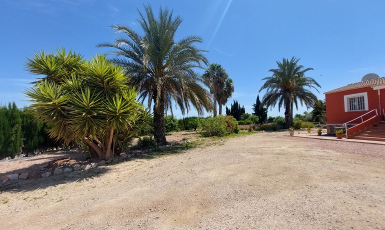 Revente - Finca / Propriété de campagne -
San Miguel de Salinas* - San Miguel De Salinas