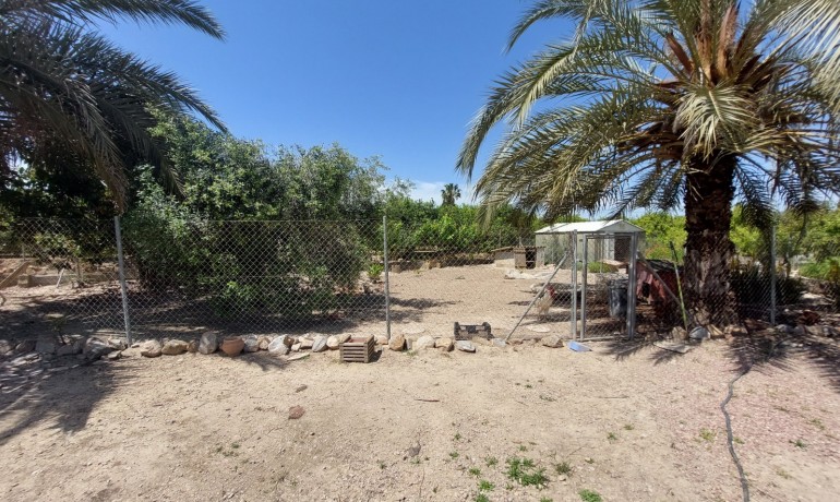 Revente - Finca / Propriété de campagne -
San Miguel de Salinas* - San Miguel De Salinas