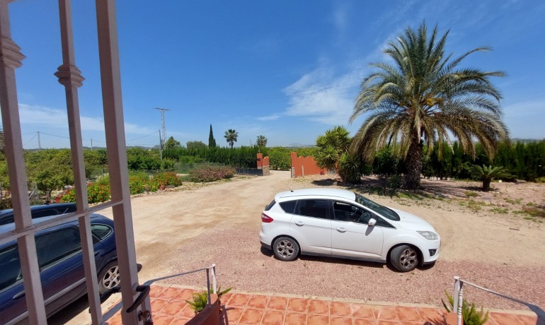 Revente - Finca / Propriété de campagne -
San Miguel de Salinas* - San Miguel De Salinas