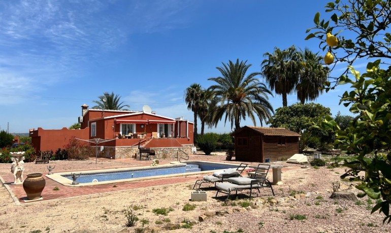 Herverkoop - Finca / Landgoed -
San Miguel de Salinas* - San Miguel De Salinas