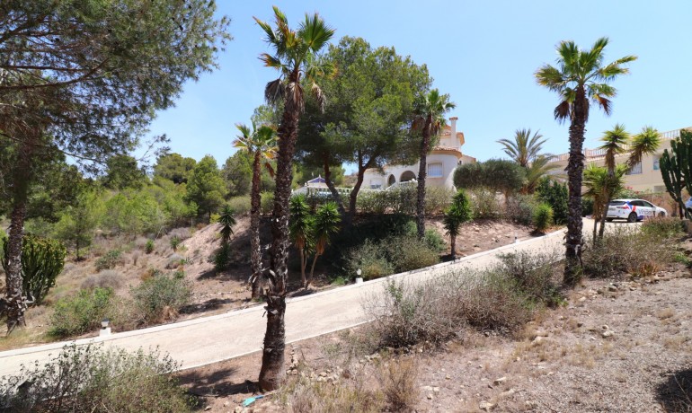 Sale - Villa -
Algorfa