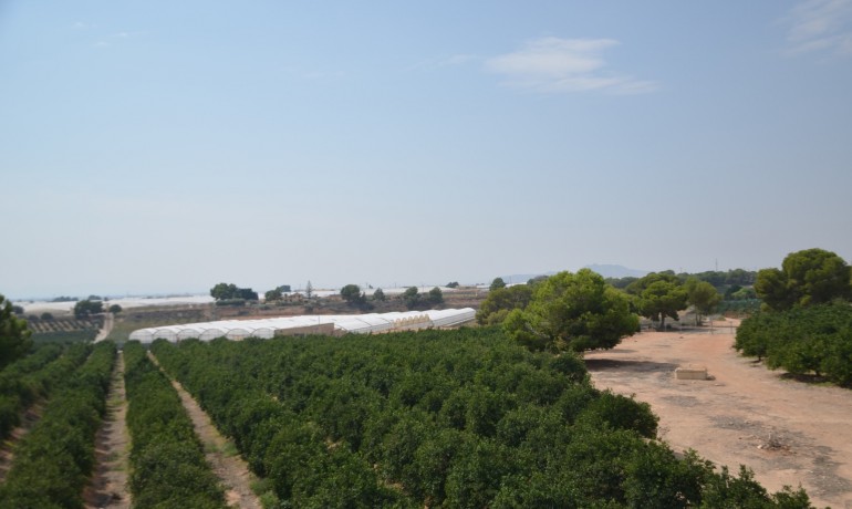 Revente - Villa -
Pilar de la Horedada* - Pilar de la Horadada*