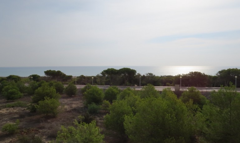 Revente - Appartement / Flat -
Guardamar del Segura - Urbanizaciones