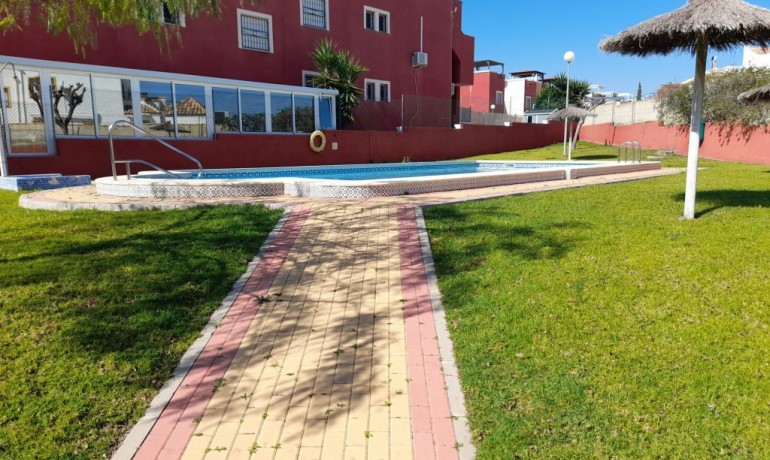 Sale - Apartment / Flat -
Orihuela Costa* - Los Altos*