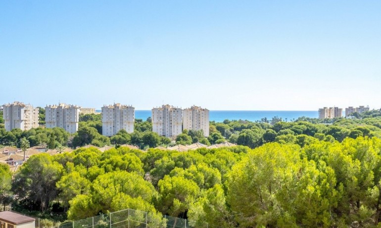 Sale - Apartment / Flat -
Orihuela Costa - Altos de Campoamor