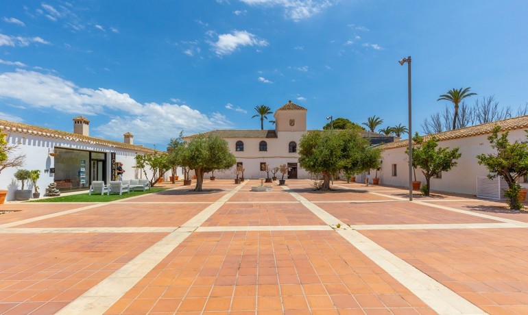 Herverkoop - Appartement / Flat -
Hacienda Riquelme Golf Resort - Inland