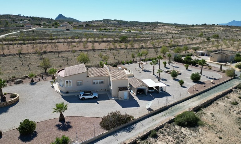 Sale - Villa -
Alicante* - Hondon de los Frailes*