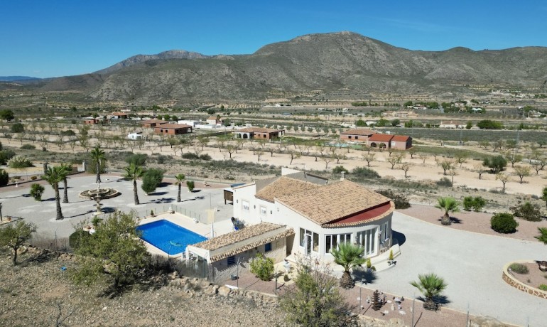 Sale - Villa -
Alicante* - Hondon de los Frailes*