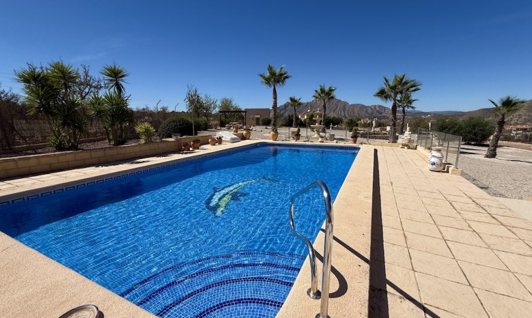 Sale - Villa -
Alicante* - Hondon de los Frailes*