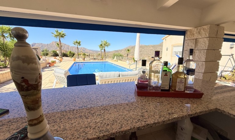 Sale - Villa -
Alicante* - Hondon de los Frailes*