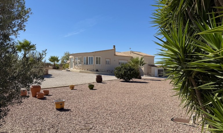 Sale - Villa -
Alicante* - Hondon de los Frailes*