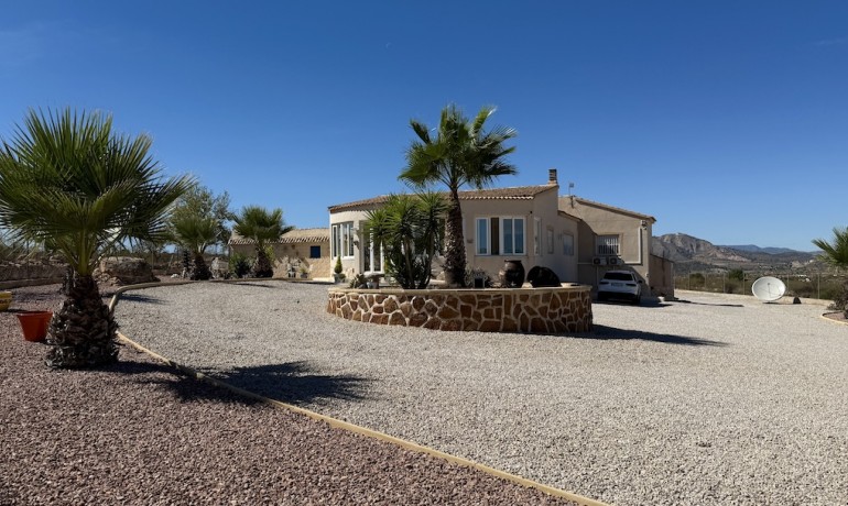 Sale - Villa -
Alicante* - Hondon de los Frailes*