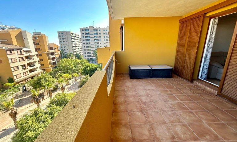 Herverkoop - Appartement / Flat -
Torrevieja* - Punta prima