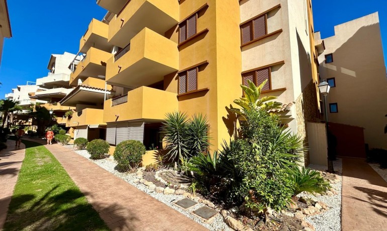 Herverkoop - Appartement / Flat -
Torrevieja* - Punta prima