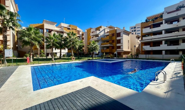 Herverkoop - Appartement / Flat -
Torrevieja* - Punta prima