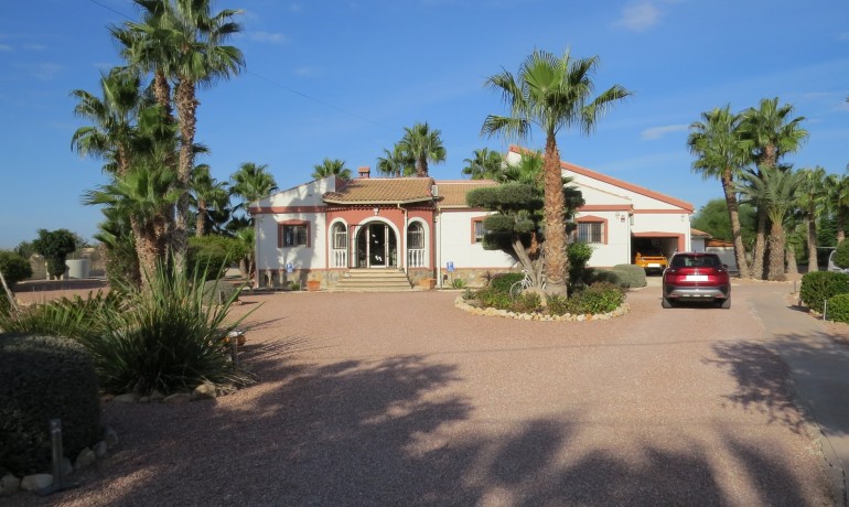 Herverkoop - Finca / Landgoed -
Alicante* - Daya Vieja