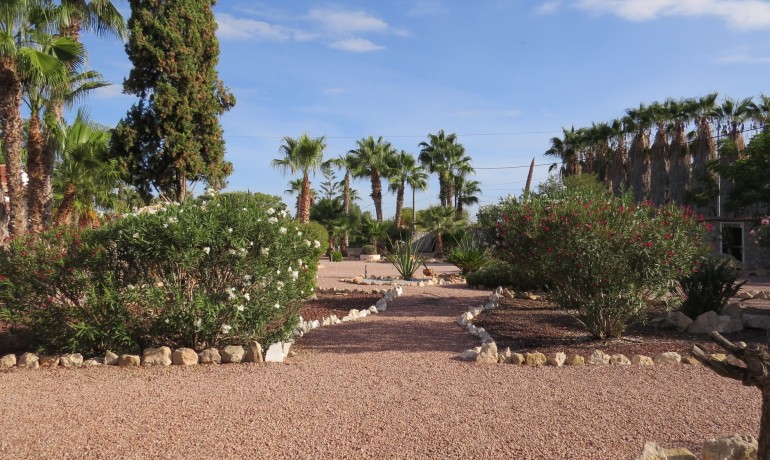 Revente - Finca / Propriété de campagne -
Alicante* - Daya Vieja