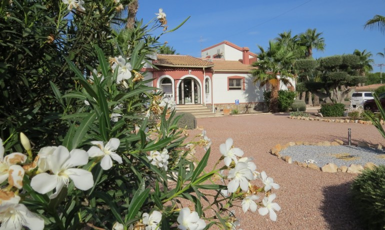 Herverkoop - Finca / Landgoed -
Alicante* - Daya Vieja