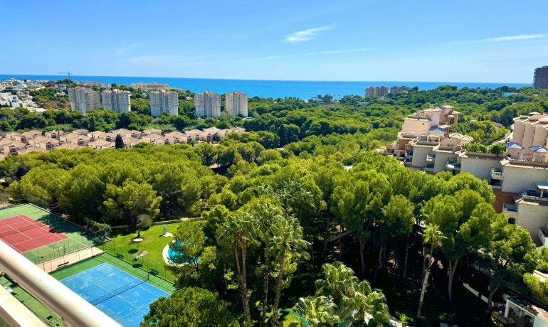 Sale - Apartment / Flat -
Orihuela Costa - Campoamor