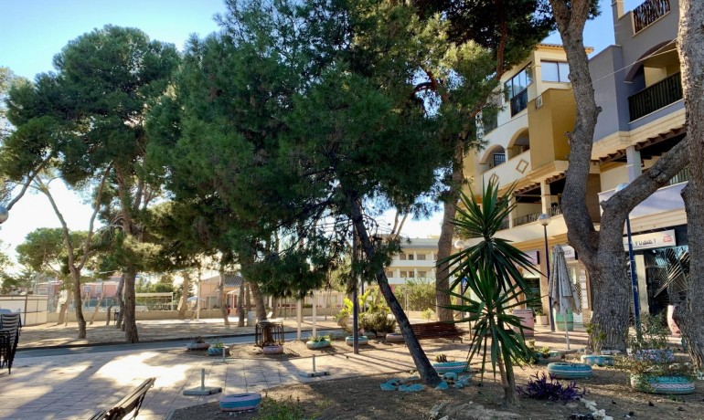 New Build - Apartment / Flat -
San Javier - Roda Golf